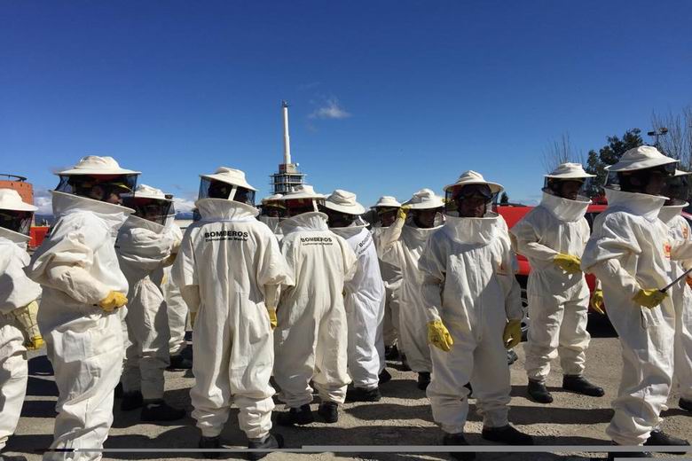 Los #bomberos madrileños realizan más de 900 intervenciones por enjambres de abejas