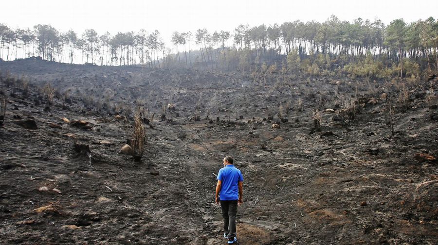 Investigan acciones coordinadas en la ola de incendios que asoló parte de Galicia