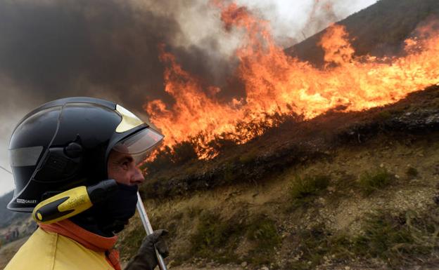 Asturias sufrió 96 incendios en 41 concejos 